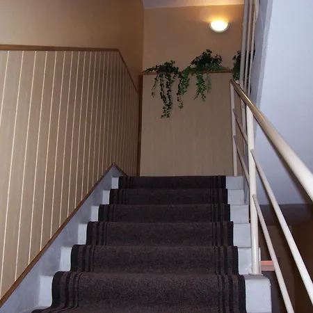 Hotel Timon 3*