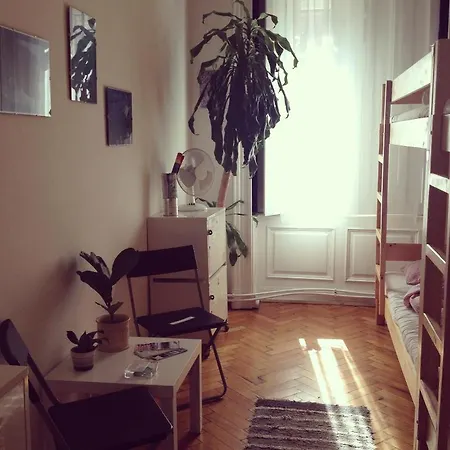 Activity Hostel Budapeşte