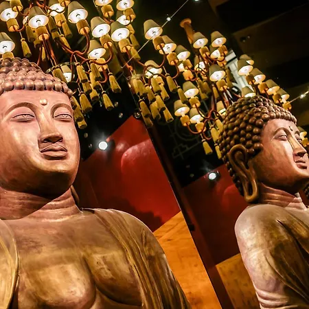 Hotel Buddha-bar Klotild Palace