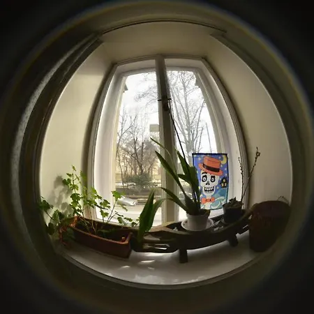 Bubble Hostel