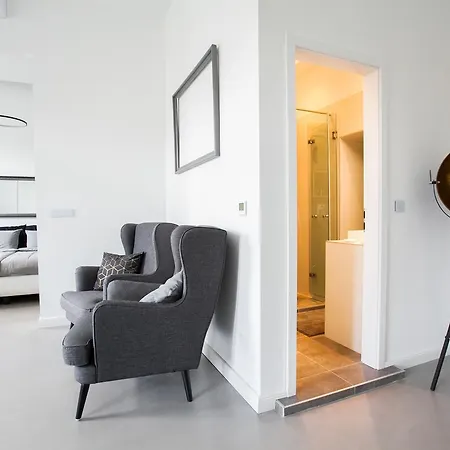 Appartement Grand Loft Design *
