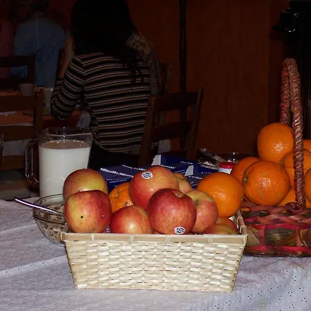 Hotel Timon 3*