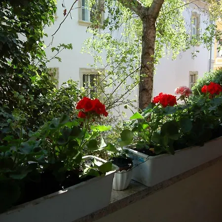 Buda Castle Apartment *