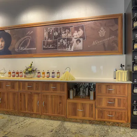 酒店 安娜酒店 4*