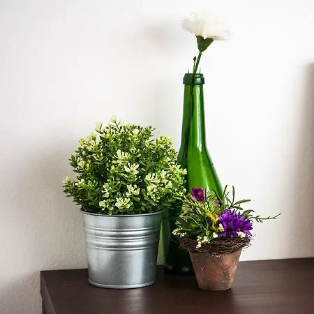 Viola Apartment *