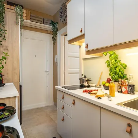 Apartment Secret Of The Monkey Budapest