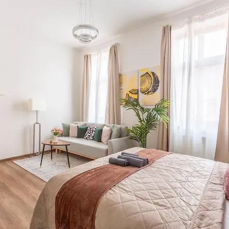 Explore From A Luxurious Cozy