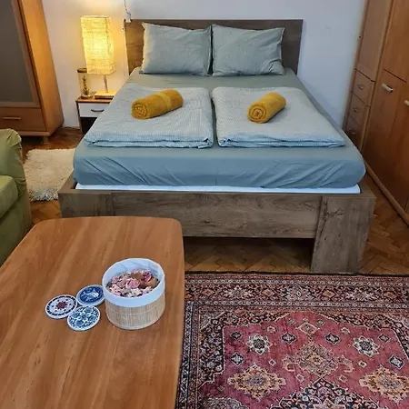 Privat bolig Weiner Downtown Budapest
