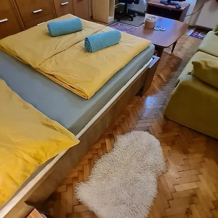 Privat bolig Weiner Downtown *