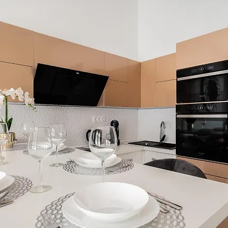 Luxury With Free Garage And Balcony In The Center 公寓 布达佩斯
