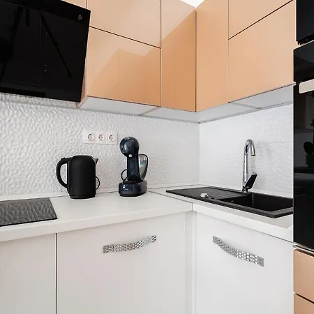 公寓 Luxury With Free Garage And Balcony In The Center 布达佩斯