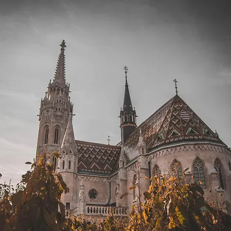 Scenic By Buda Castle * Boedapest