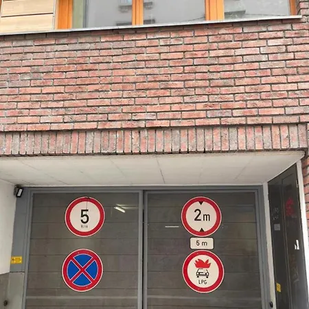 Luxury With Free Garage And Balcony In The Center 公寓 布达佩斯