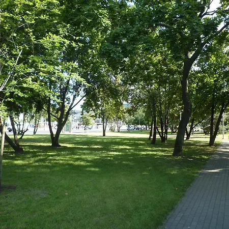 Ors Vezer Beatle 01 Apartment *