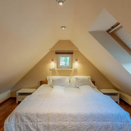 D12 Apartman