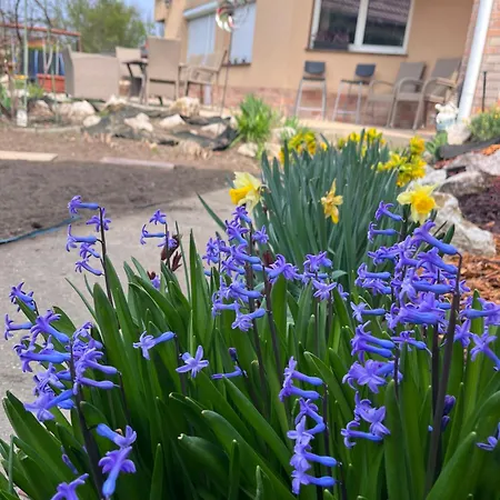 Garden וילה