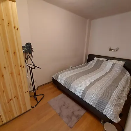 Cozy Downtown Apartment *