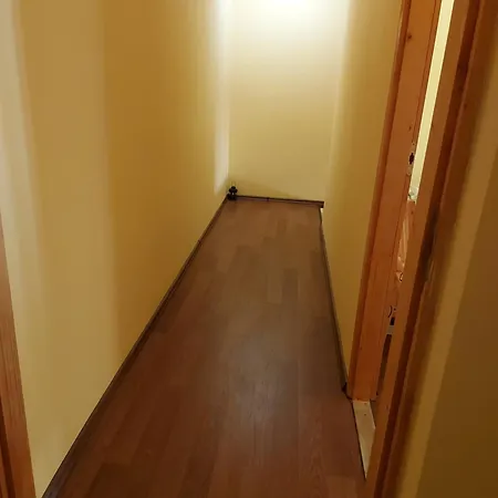 Cozy Downtown Apartment