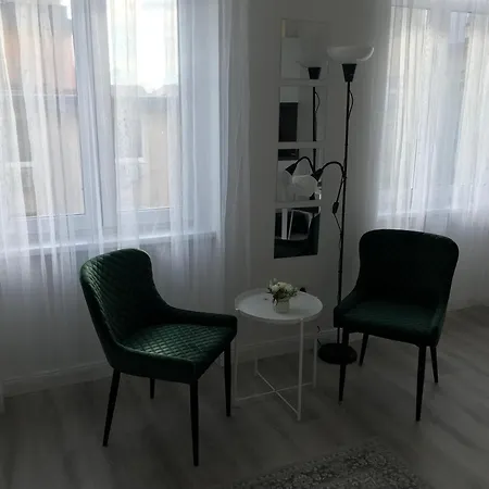아파트 Beautiful Newly Refurbished Studio,fully Equipped Walking Distance To The Park Where Will Find The World Famous Szechenyi Thermal Bath Spa, Museums , And The Capital Circus , Ac, Smart Tv, High Speed Internet 부다페스트