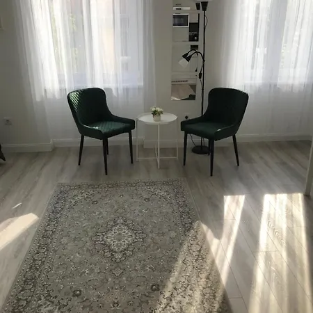 Beautiful Newly Refurbished Studio,fully Equipped Walking Distance To The Park Where Will Find The World Famous Szechenyi Thermal Bath Spa, Museums , And The Capital Circus , Ac, Smart Tv, High Speed Internet * 부다페스트