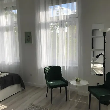 Beautiful Newly Refurbished Studio,fully Equipped Walking Distance To The Park Where Will Find The World Famous Szechenyi Thermal Bath Spa, Museums , And The Capital Circus , Ac, Smart Tv, High Speed Internet 부다페스트