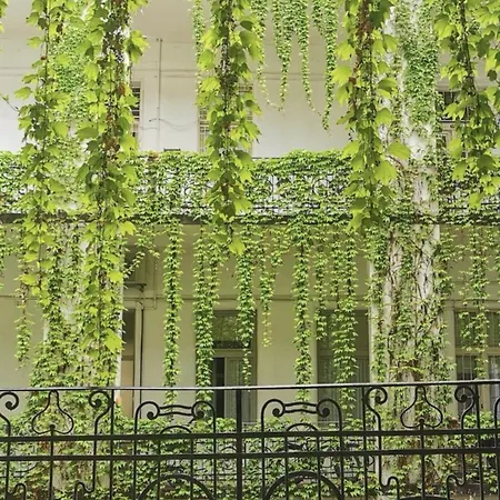 Beautiful Newly Refurbished Studio,fully Equipped Walking Distance To The Park Where Will Find The World Famous Szechenyi Thermal Bath Spa, Museums , And The Capital Circus , Ac, Smart Tv, High Speed Internet 아파트 부다페스트