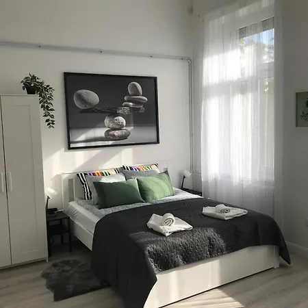 아파트 Beautiful Newly Refurbished Studio,fully Equipped Walking Distance To The Park Where Will Find The World Famous Szechenyi Thermal Bath Spa, Museums , And The Capital Circus , Ac, Smart Tv, High Speed Internet 부다페스트