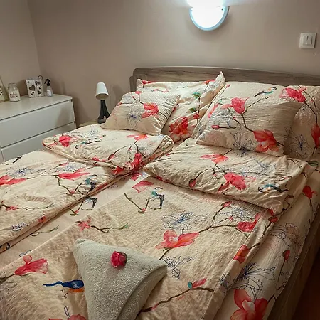 Bloom Appartement