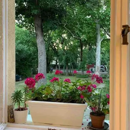 Villa Giulietta With Garden, Free Parking *