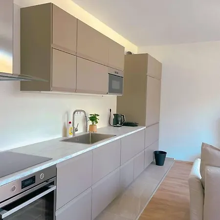 Spacious With Balcony And Garage Apartment
