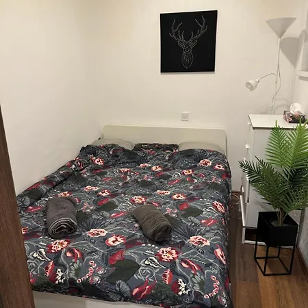 Apartment Da Vinci Loft Ap By Corvin Promenade Tram Line 4-6 Budapest
