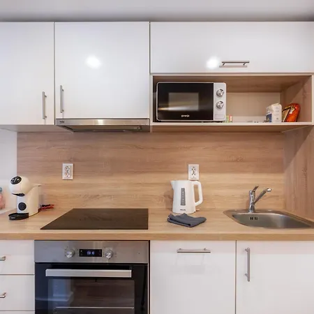 Sz27 A Szekely Apartment Budapest