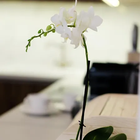 Luxury By Hi5 - Location 3-br דירה