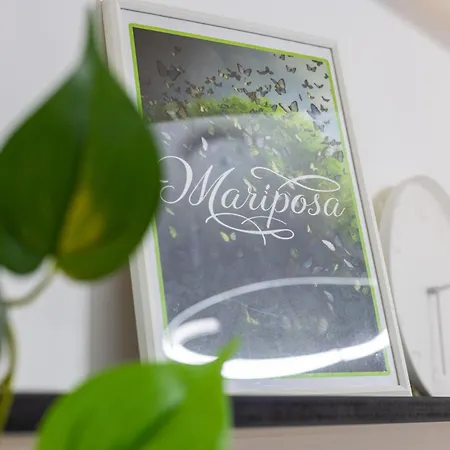 Mariposa *