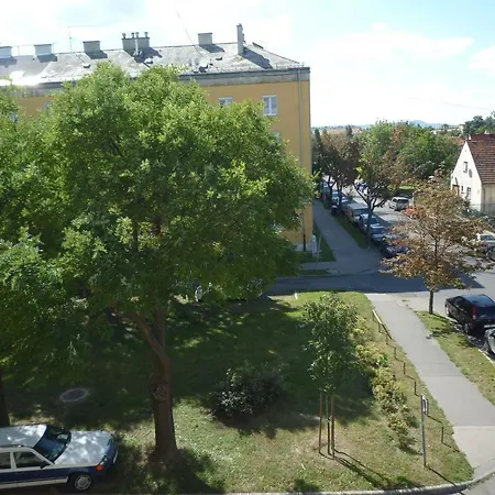 Ors Vezer Beatle 01 Apartment
