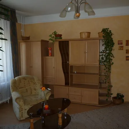 Ors Vezer Beatle 01 Budapest