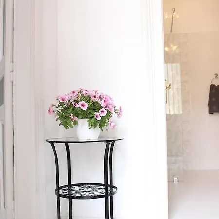Pink Parrot Apartment *