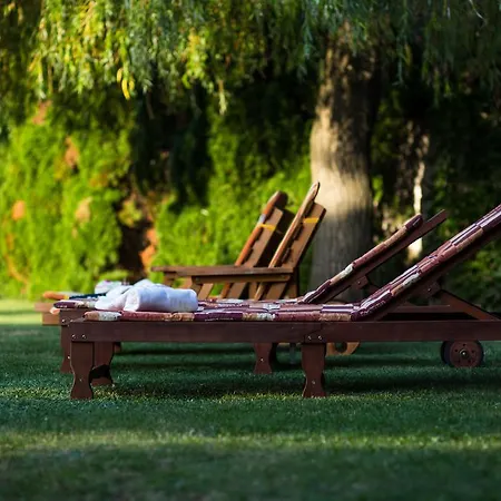 Mercedes Garden Budapest