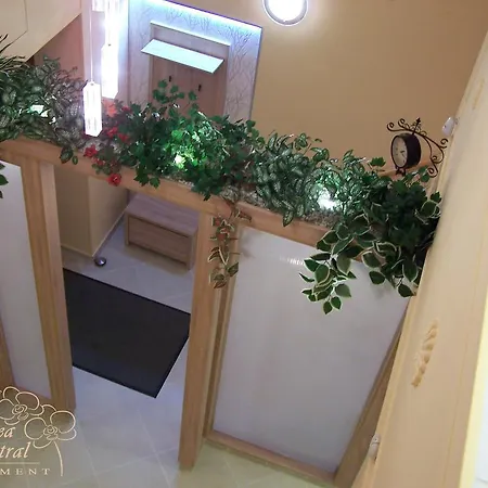 Orchidea شقة *