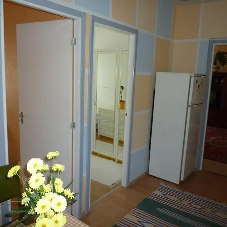 Apartment Ors Vezer Beatle 01