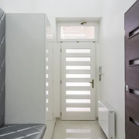 Luxury With Free Garage And Balcony In The Center 公寓 布达佩斯