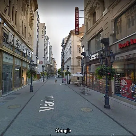 Your Frisky In The Iconic Vaci Street *